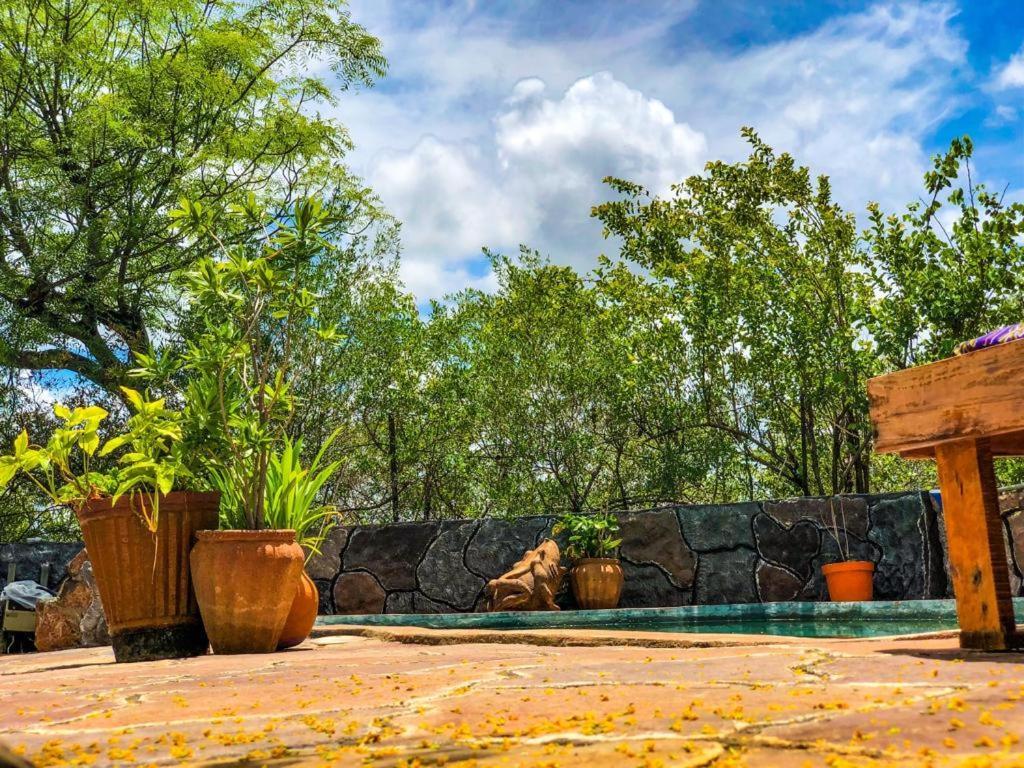 Lesoma Valley Lodge Kasane Dış mekan fotoğraf